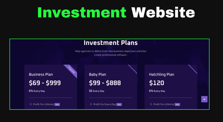 I Will Create a Professional Investment Website for You